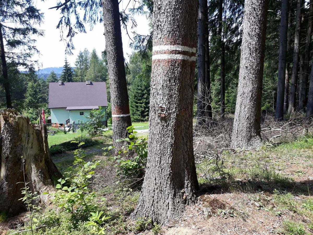 Chata Lipno Lipno nad Vltavou Eksteriør bilde